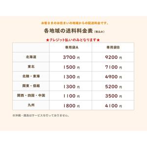 布団引き取りサービス 専用袋に詰めて送るだけ ...の詳細画像5