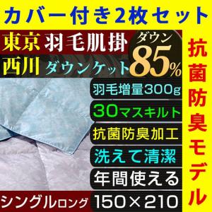肌掛け布団 シングル 2枚セット 布団カバー付き 洗える 羽...