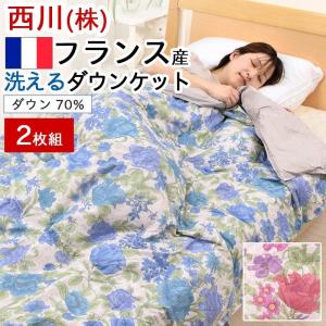 掛け布団 羽毛布団 シングル 肌掛け布団 2枚組 洗える ダウンケット 西川 吸湿 放湿 ダウン 70% 150×210cm 肌布団 フランス産 夏 夏掛け 吸湿 放湿KE01705501
