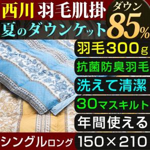 肌掛け布団 夏 ダウンケット シングル 西川 ダウン 85% 羽毛 300g入り 洗える ダウンケット 抗菌 防臭 東京西川