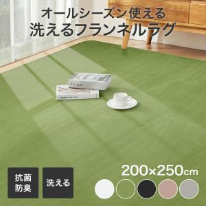洗えるラグ 200×250 フランネルラグ 滑り止め付 ラグカーペット カーペット 3畳 フランネル マイクロファイバー オールシーズン ホットカーペットカバー