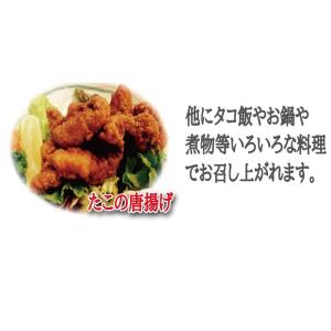 たこ タコ 真たこ足ボイル冷凍 1本詰1〜1....の詳細画像4