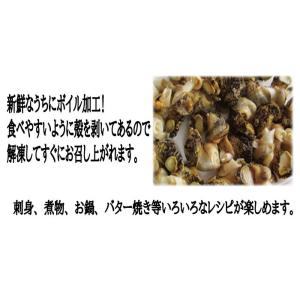 つぶ つぶ貝 灯台つぶ貝剥き身(ボイル冷凍)1...の詳細画像2