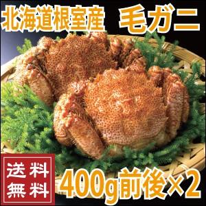 北海道産　根室産　毛ガニ 400g前後×2尾　（北海道　送料無料　かに　カニ　蟹）