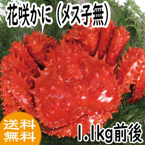 かに　蟹　カニ　花咲ガニ　花咲かに(メス子無) 1.1kｇ前後　 ギフト　2025　御歳暮