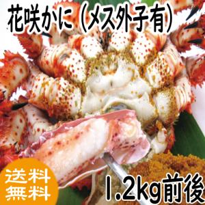 かに　カ ニ　蟹　花咲ガニ　超希少！花咲かに(メス外子有) 1.2kｇ前後　 ギフト　2025　御歳暮