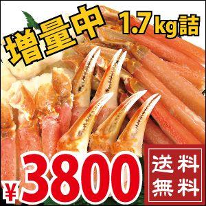 本ずわいかにシャブセット（ポーション25本以上入）今なら増量で総重量1.7kg