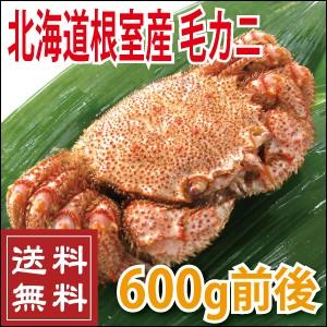 お中元 ギフト プレゼント 北海道 根室産 毛蟹600g前後...