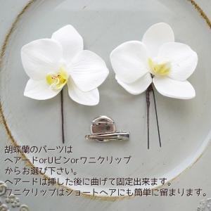 ABCセット 髪飾り ドライフラワー 浴衣 白...の詳細画像3