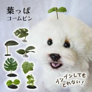 犬 葉っぱ ヘアピン 花 飾り 全犬種 頭飾り ブンブン取れない葉っぱのコームピン アクセサリー dog パッチン留め お出かけ お散歩 小型犬 超小型犬｜nenesdeco