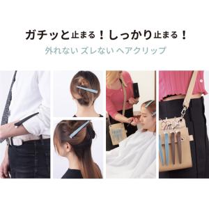 アイビル プロクリップ ヘアクリップ 6本入り...の詳細画像2