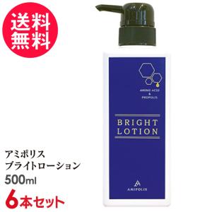 アミポリス ブライトローション 500ml 天然成分トリートメント 送料