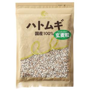 はと麦 500g 2024年 島根県産 ハトムギ はとむぎ 送料無料 メール便 [M