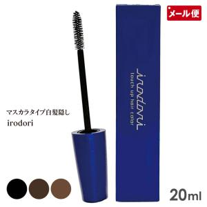 irodori タッチアップヘアカラー マスカラタイプ 白髪かくし メール便 送料無料