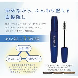 irodori タッチアップヘアカラー マスカ...の詳細画像1