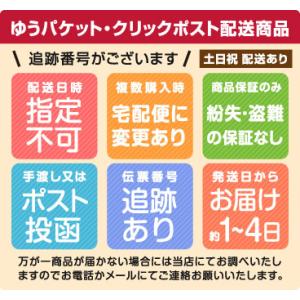 インドヘナ インディゴ ヘナ 100g 白髪染...の詳細画像2