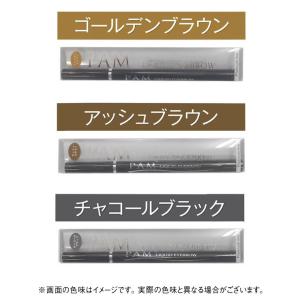 PAM リキッド アイブロウ プラチナライン ...の詳細画像1