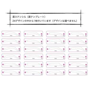 PAM リキッド アイブロウ プラチナライン ...の詳細画像4