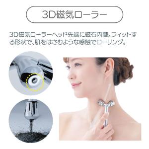 Cellsh スティックローラー セルシュ フ...の詳細画像2