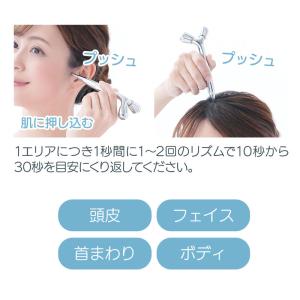 Cellsh スティックローラー セルシュ フ...の詳細画像4