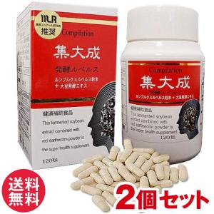 レリガーPmax NMNサプリメント 45g(1.5g×30包) : sun lise - 通販