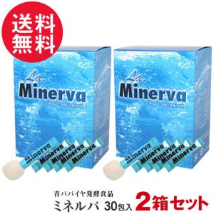2個セット 発酵自然食品 ミネルバ 青パパイヤ発酵食品(30包×2)＋9包おまけ 粉末タイプ 送料無料