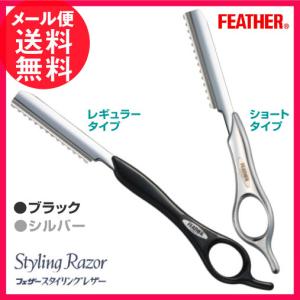 フェザー スタイリングレザー 本体(レギュラー/ショート)(ブラック/シルバー) メール便 送料無料