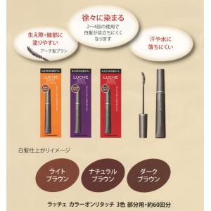 5本 ラッチェ カラーオンリタッチ 白髪染め ...の詳細画像3