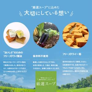 フリーズドライ 生姜スープ 10食入 高級 厳...の詳細画像5