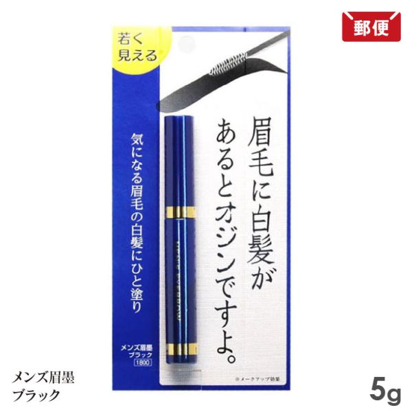 メンズ眉墨 ブラック 5g ビナ薬粧 眉ずみ まゆずみ メール便 送料無料
