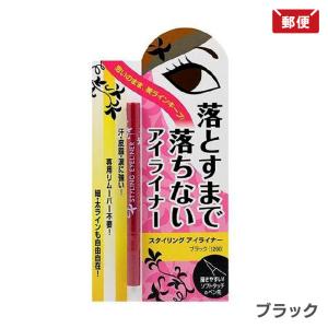 ビナ薬粧 スタイリング アイライナー ブラック 1000円ポッキリ メール便 送料無料　｜nenrin