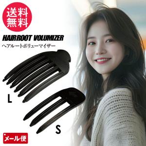 ヘアルートボリューマイザー S Lの買取情報