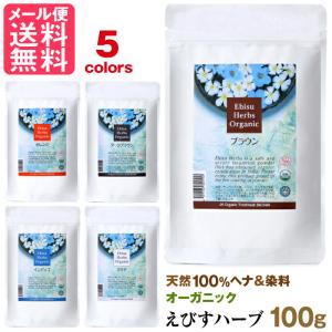 ジャパンヘナ えびすハーブ オーガニック カラー トリートメント 100g 5色より 天然染料 ヘンナ japan henna メール便 送料無料 yp2