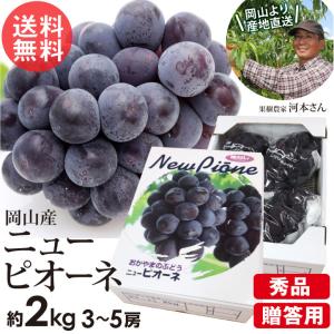 岡山 ニューピオーネ 3〜5房 約 2kg 秀品 贈答用 ぶどう 種なし 葡萄 巨峰 岡山県産 ギフト 残暑見舞い