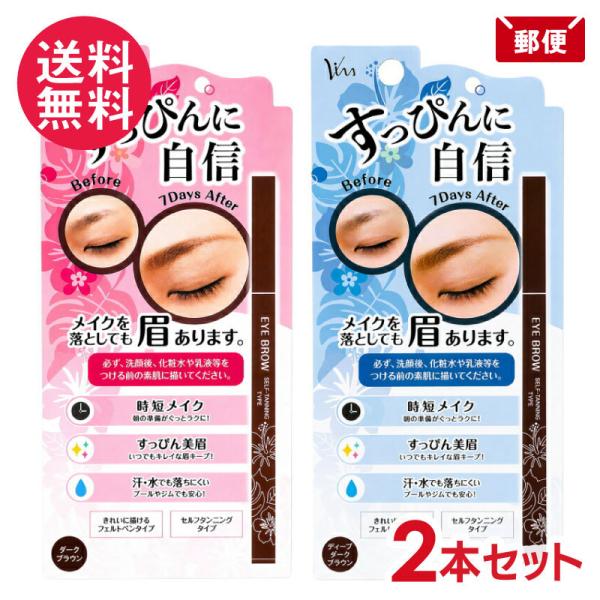 2本セット セルフタンニングアイブロウST ダークブラウン ディープダークブラウン ビナ 眉毛 眉墨...