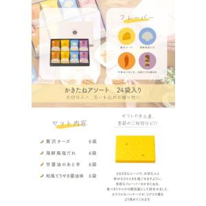 かきたねキッチン かきたねアソート24袋 包装...の詳細画像1