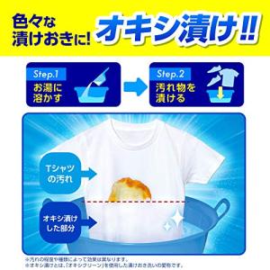 オキシクリーン EX 3270g 粉 アメリカ...の詳細画像4