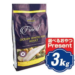 フィッシュ4]FISH4 ドッグ サーモン 大粒 6kg プレミアムフード ドライ