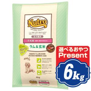 ニュートロ ナチュラルチョイス ラム＆玄米 子犬用 6kg 【正規品】 ドッグフード Nutro NATURAL CHOICEnt｜neo-select