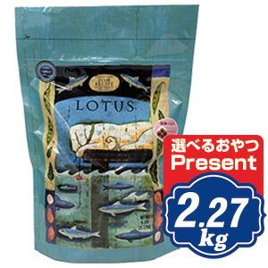 ロータス LOTUS グレインフリー フィッシュレシピ 小粒 5kg