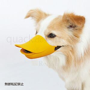 OPPO オッポ quackclosed クァッククローズド オレンジ Lサイズ しつけ用口輪atw