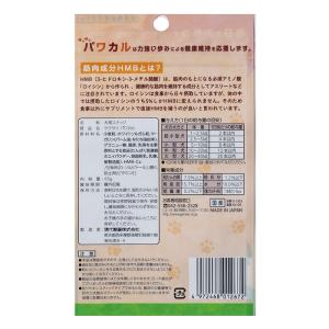 現代製薬 ビスカル サクサク パワカル 65g tの詳細画像1