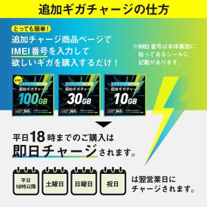 【100GB・追加ギガチャージ】ネオチャージW...の詳細画像1
