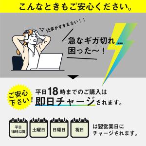 【100GB・追加ギガチャージ】ネオチャージW...の詳細画像2