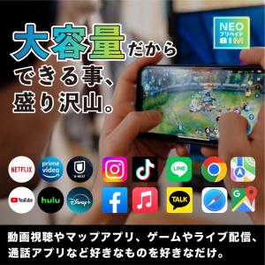【ネオプリペイドSIM利用者専用】3ヶ月使い切...の詳細画像2