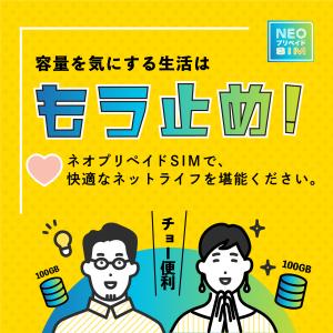 【ネオプリペイドSIM利用者専用】3ヶ月使い切...の詳細画像4