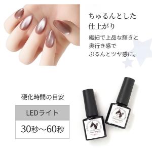 ネコジェルモア グロッシーマグネットジェル 全...の詳細画像3
