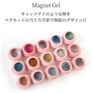 カラージェル ジェルネイル マグネットジェル ...の詳細画像2