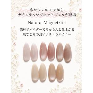 ナチュラルマグネットジェル ネコジェルモア ス...の詳細画像1