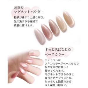 ナチュラルマグネットジェル ネコジェルモア ス...の詳細画像2